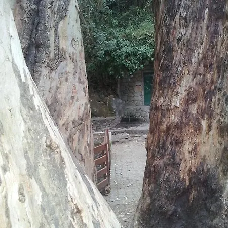 Casa Da Estrada Nova *